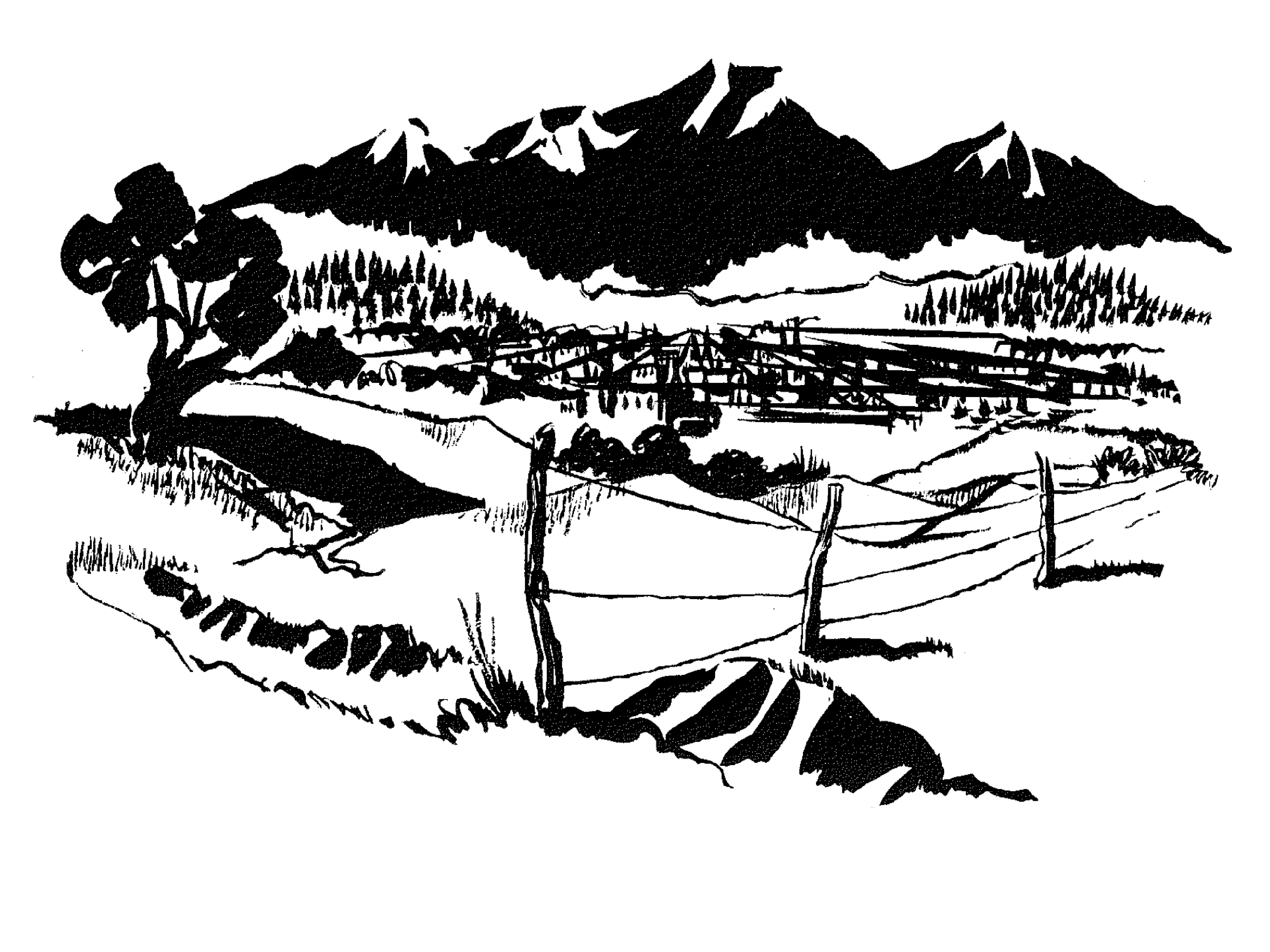 An illustration of a hillside landscape.